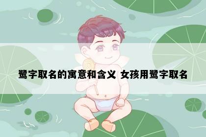 鹭字取名的寓意和含义 女孩用鹭字取名