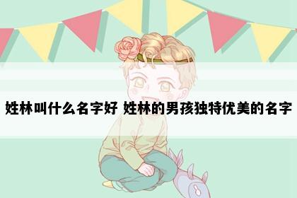 姓林叫什么名字好 姓林的男孩独特优美的名字