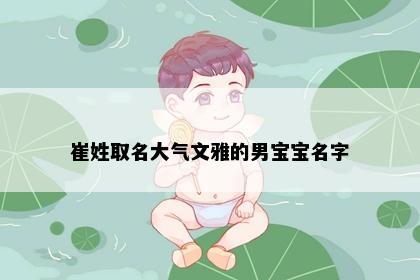 崔姓取名大气文雅的男宝宝名字