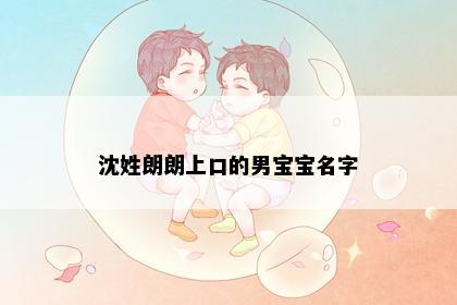 沈姓朗朗上口的男宝宝名字