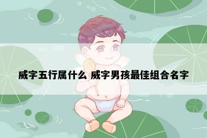 威字五行属什么 威字男孩最佳组合名字