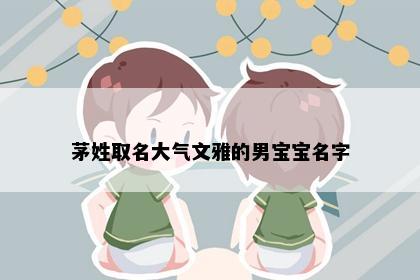 茅姓取名大气文雅的男宝宝名字