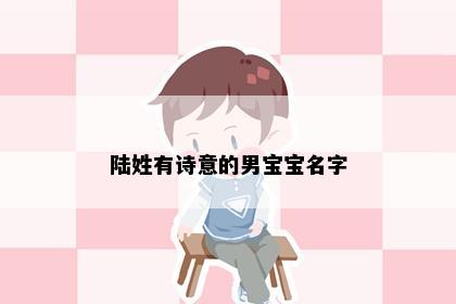 陆姓有诗意的男宝宝名字