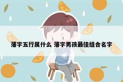 藩字五行属什么 藩字男孩最佳组合名字