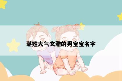 湛姓大气文雅的男宝宝名字