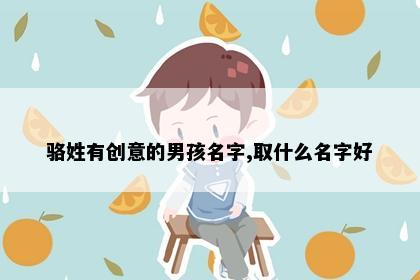 骆姓有创意的男孩名字,取什么名字好