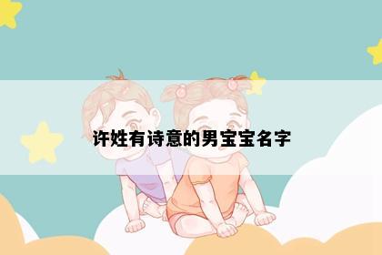 许姓有诗意的男宝宝名字