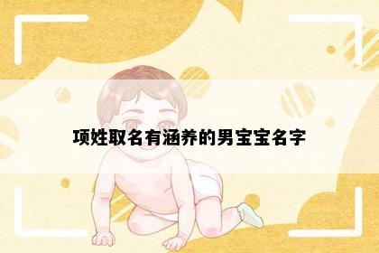 项姓取名有涵养的男宝宝名字