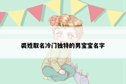 裘姓取名冷门独特的男宝宝名字