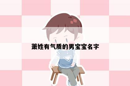 萧姓有气质的男宝宝名字