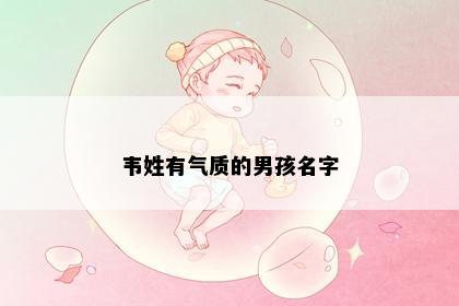 韦姓有气质的男孩名字