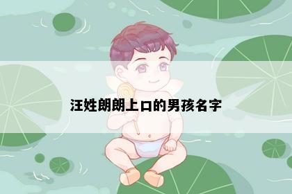 汪姓朗朗上口的男孩名字