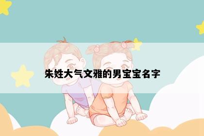 朱姓大气文雅的男宝宝名字