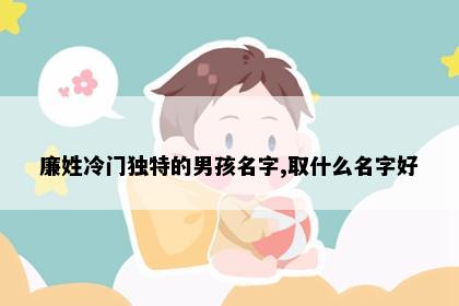 廉姓冷门独特的男孩名字,取什么名字好