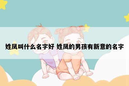 姓凤叫什么名字好 姓凤的男孩有新意的名字