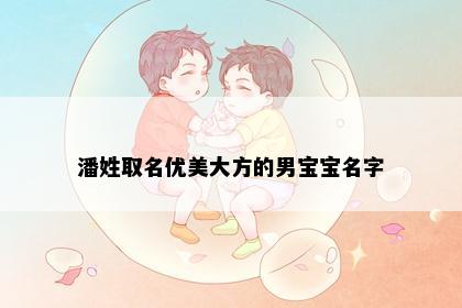 潘姓取名优美大方的男宝宝名字