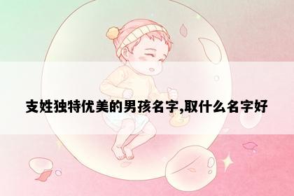 支姓独特优美的男孩名字,取什么名字好