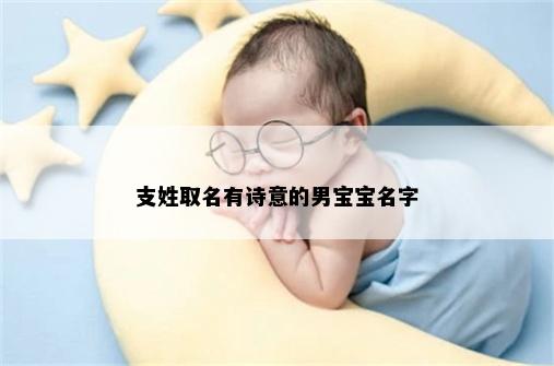 支姓取名有诗意的男宝宝名字