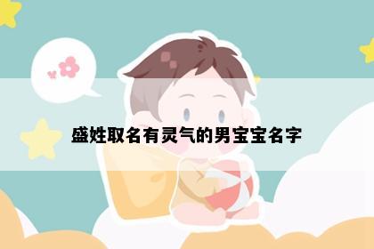 盛姓取名有灵气的男宝宝名字