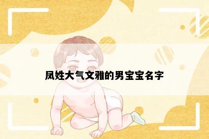 凤姓大气文雅的男宝宝名字