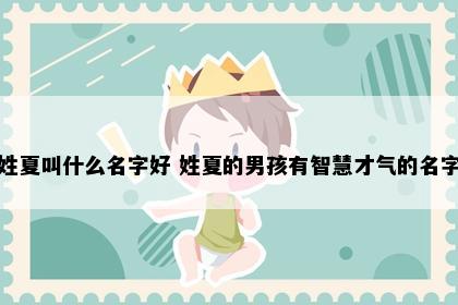 姓夏叫什么名字好 姓夏的男孩有智慧才气的名字