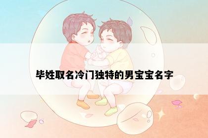 毕姓取名冷门独特的男宝宝名字