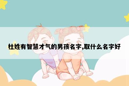杜姓有智慧才气的男孩名字,取什么名字好