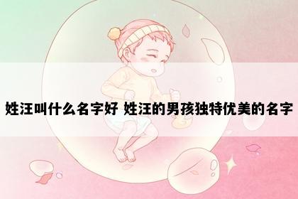 姓汪叫什么名字好 姓汪的男孩独特优美的名字