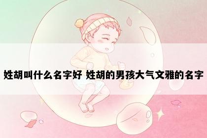 姓胡叫什么名字好 姓胡的男孩大气文雅的名字