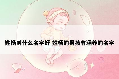 姓杨叫什么名字好 姓杨的男孩有涵养的名字