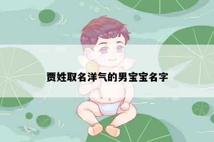 贾姓取名洋气的男宝宝名字