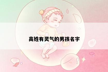 高姓有灵气的男孩名字
