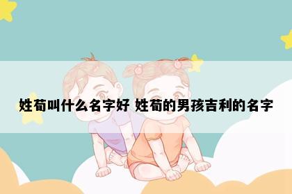 姓荀叫什么名字好 姓荀的男孩吉利的名字
