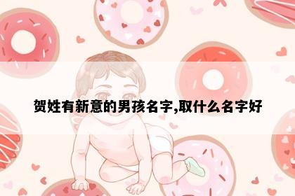 贺姓有新意的男孩名字,取什么名字好
