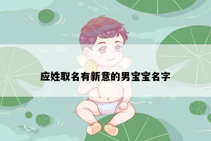 应姓取名有新意的男宝宝名字