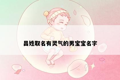 昌姓取名有灵气的男宝宝名字