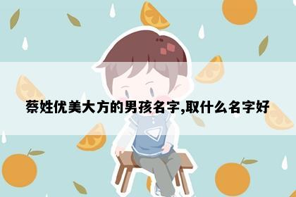 蔡姓优美大方的男孩名字,取什么名字好
