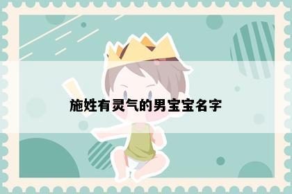 施姓有灵气的男宝宝名字