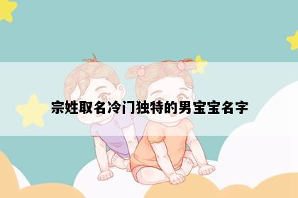宗姓取名冷门独特的男宝宝名字