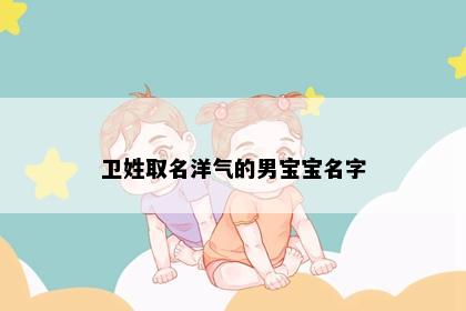 卫姓取名洋气的男宝宝名字