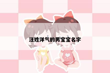 汪姓洋气的男宝宝名字