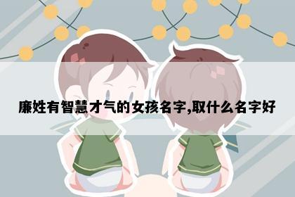 廉姓有智慧才气的女孩名字,取什么名字好