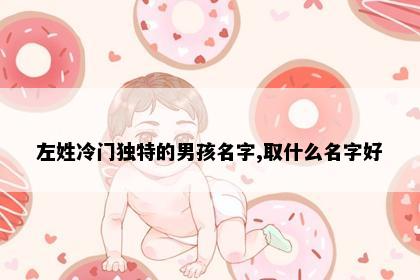 左姓冷门独特的男孩名字,取什么名字好