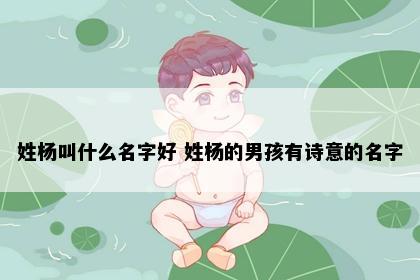 姓杨叫什么名字好 姓杨的男孩有诗意的名字