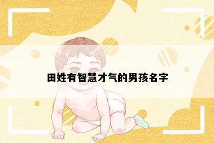 田姓有智慧才气的男孩名字