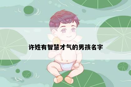 许姓有智慧才气的男孩名字
