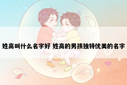 姓高叫什么名字好 姓高的男孩独特优美的名字