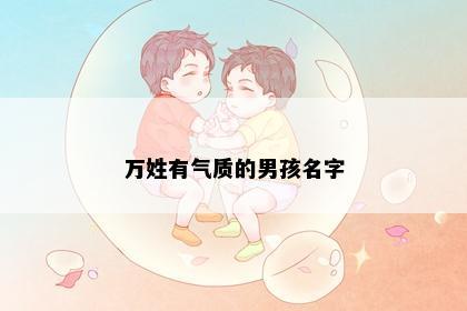万姓有气质的男孩名字