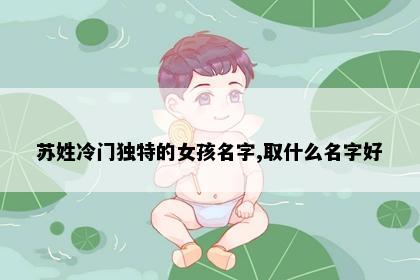 苏姓冷门独特的女孩名字,取什么名字好