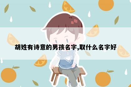 胡姓有诗意的男孩名字,取什么名字好